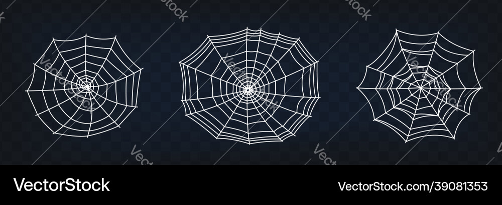 Set of spider web symbols realistic spiderweb Set of spider web symbols realistic spiderweb vector image