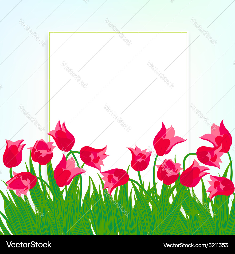 Spring card background with red tulips Vector Image