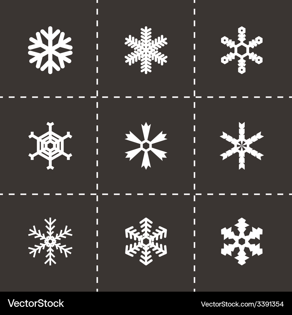 Snowflake Icon Collection vector image