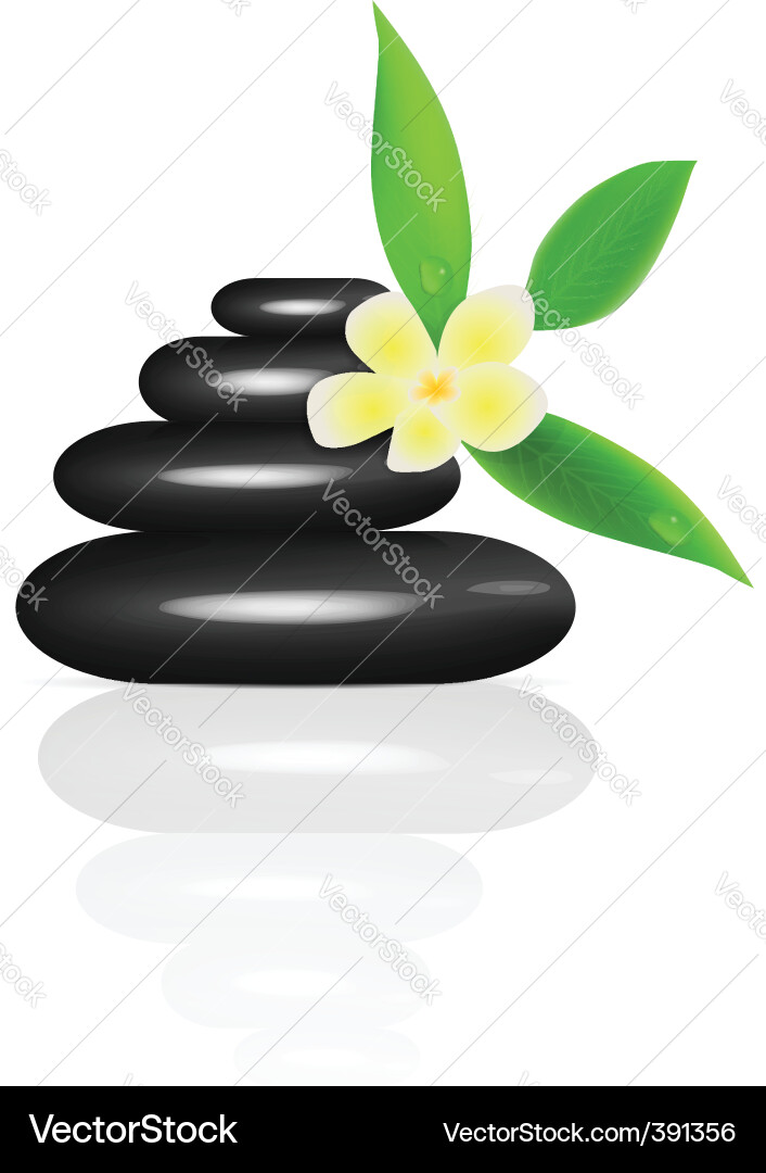 Spa stones Royalty Free Vector Image - VectorStock