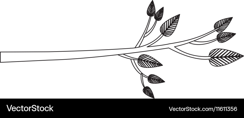Tree branch icon image Vector Image
