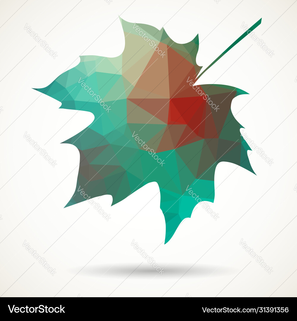 Triangular maple leaf Vector Image