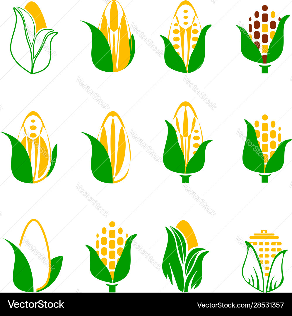 Corn icon set isolated on white background – Royalty-Free Vector ...