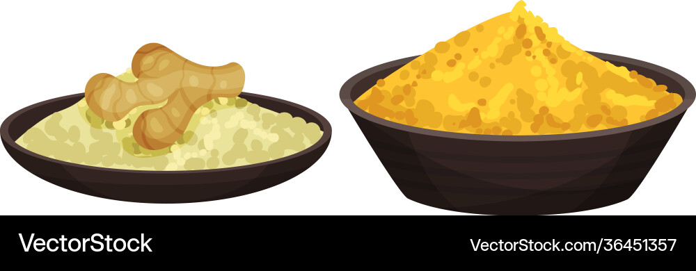 Heaps different spices and condiments poured Heaps different spices and condiments poured vector image