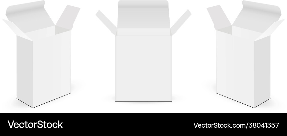 Rectangular boxes mockups with opened lid vector image