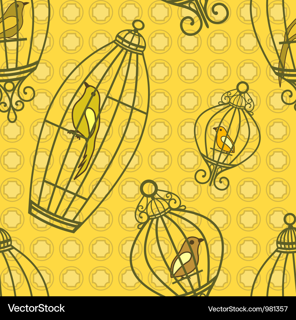 Vintage Birdcage Pattern Vector Image
