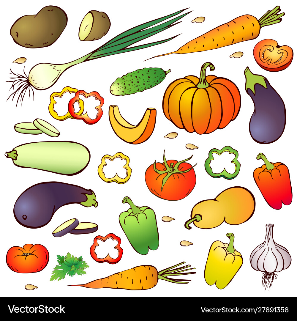 Hand drawn realistic vegetables set – Royalty-Free Vector | VectorStock, image size:1000x1080