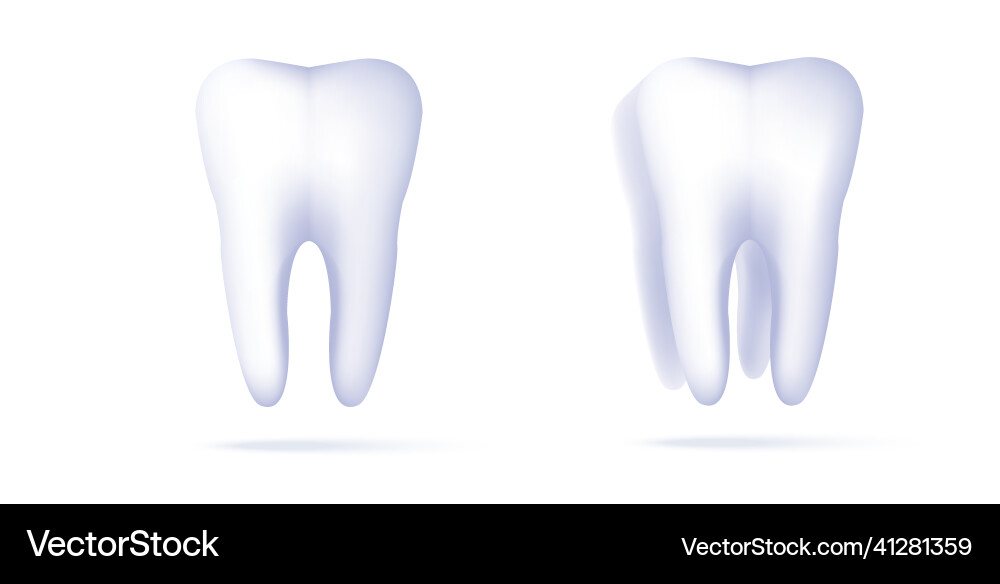 Tooth 3d render icons set front view Tooth 3d render icons set front view vector image