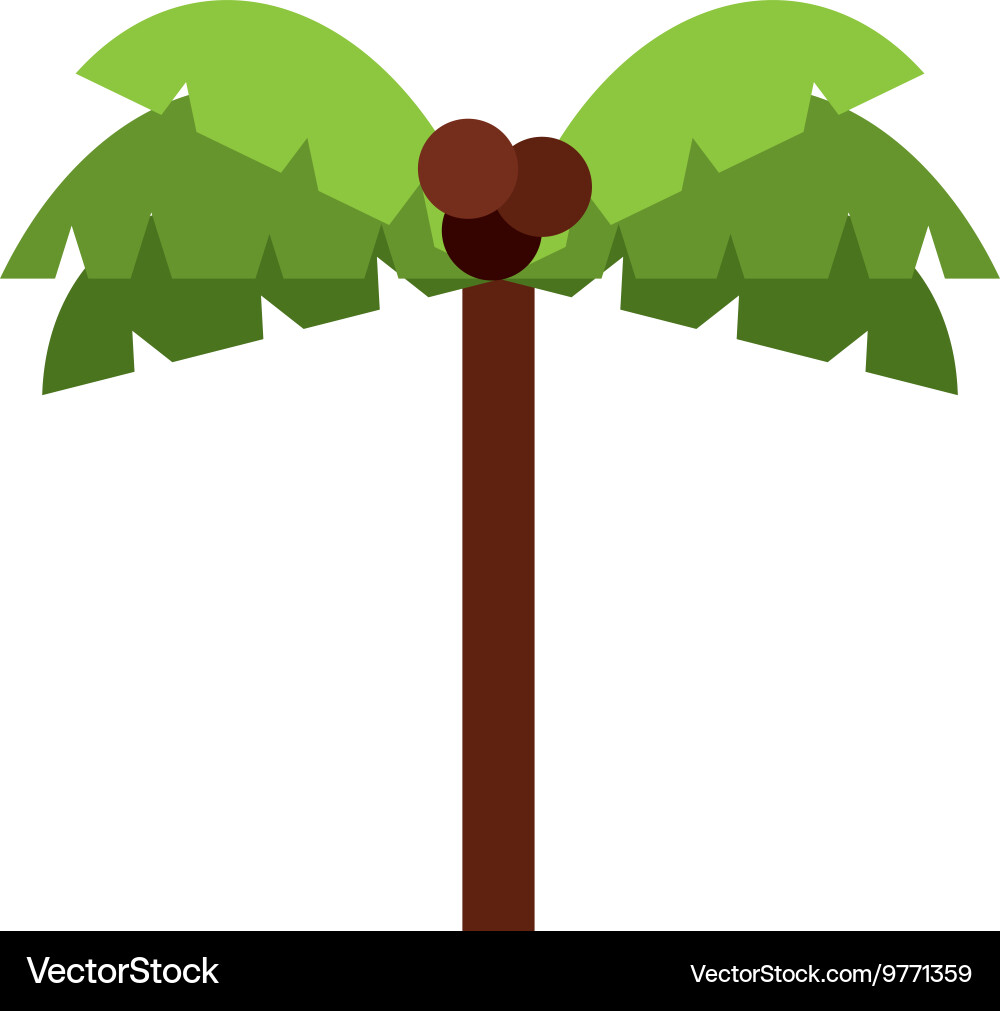 Tree palm isolated icon design vector image