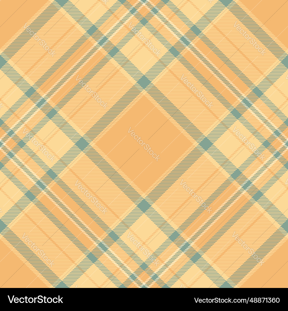 Pattern check of texture background textile Pattern check of texture background textile vector image