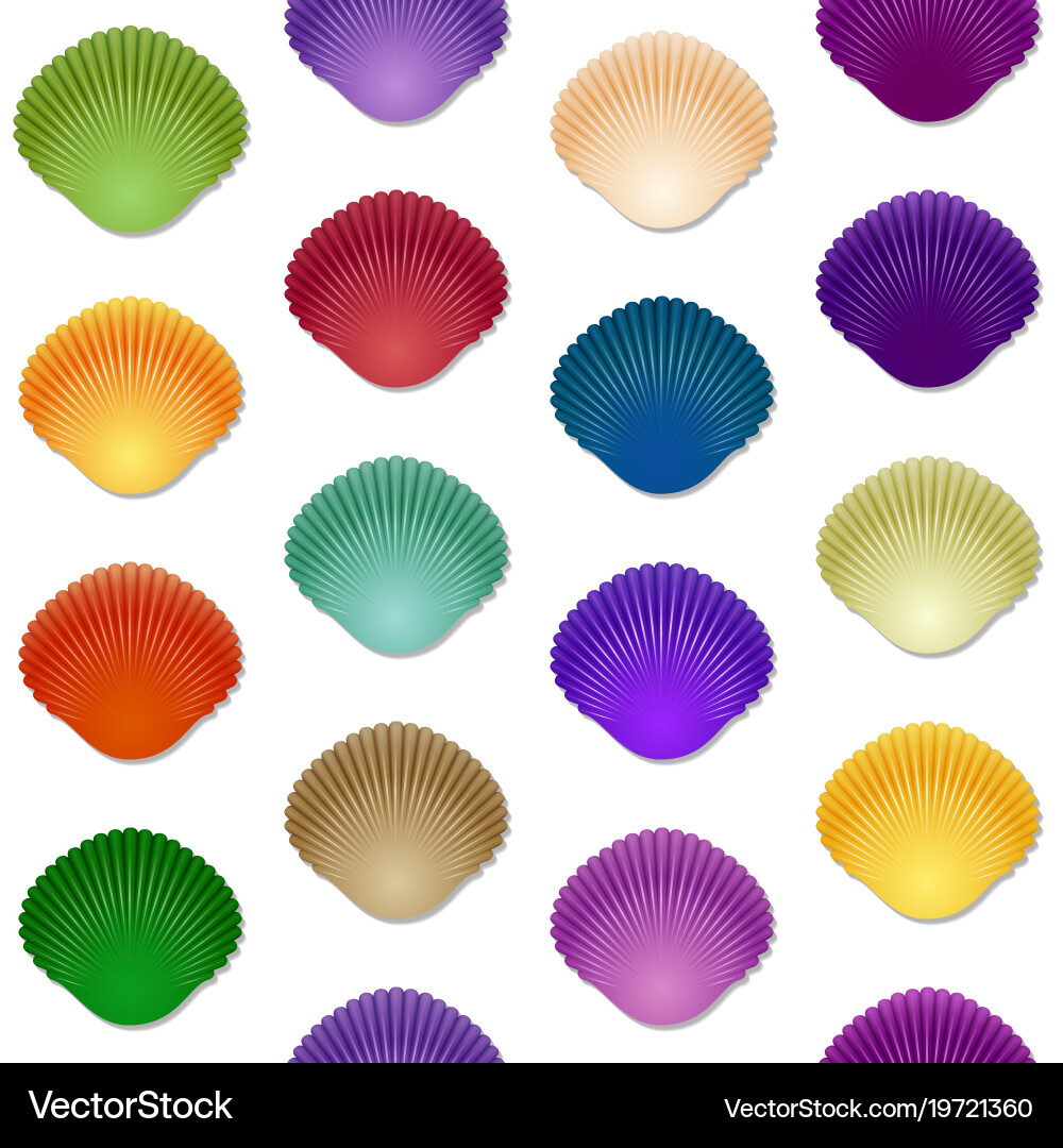 Seamless colorful seashell template background vector image
