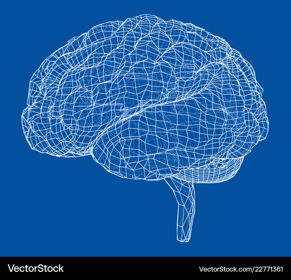 3d outline brain rendering of vector image