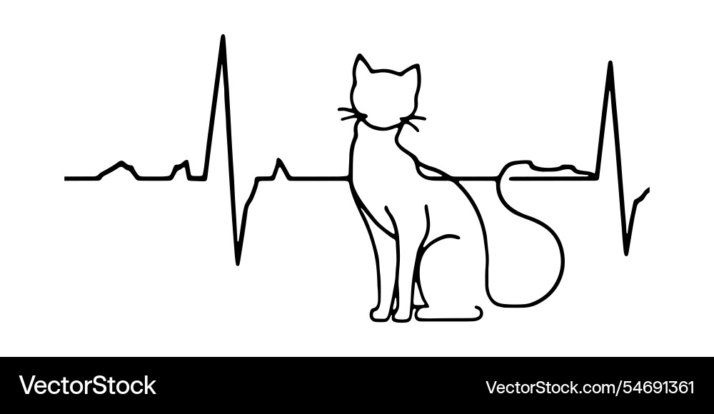 Heart rate graph with a playful cat Heart rate graph with a playful cat vector image
