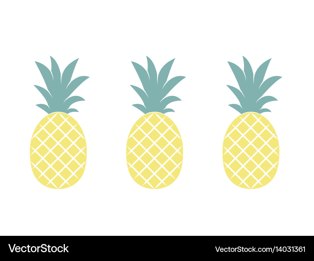 Pineapple fruit Royalty Free Vector Image - VectorStock