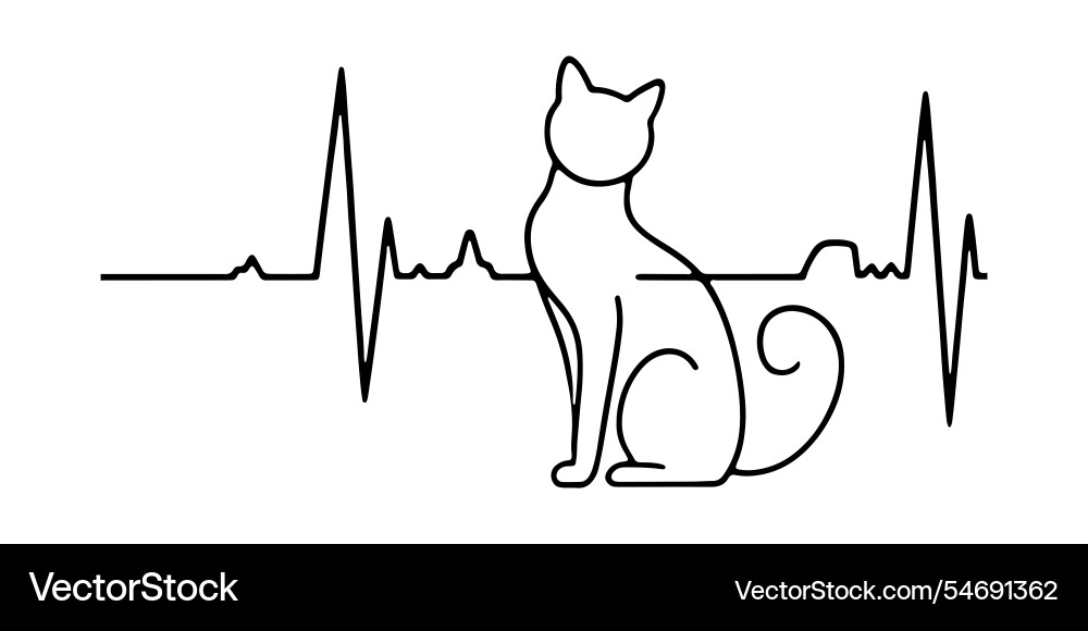 Heart rate graph with a playful cat Heart rate graph with a playful cat Vector Image