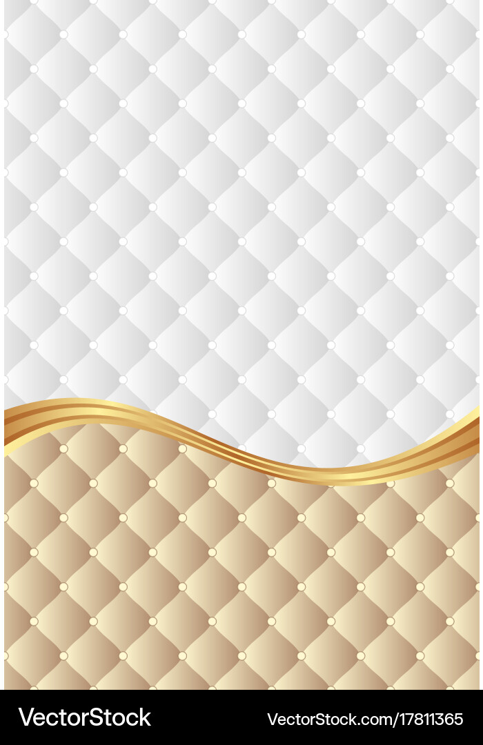 Background with decorative pattern divided vector image