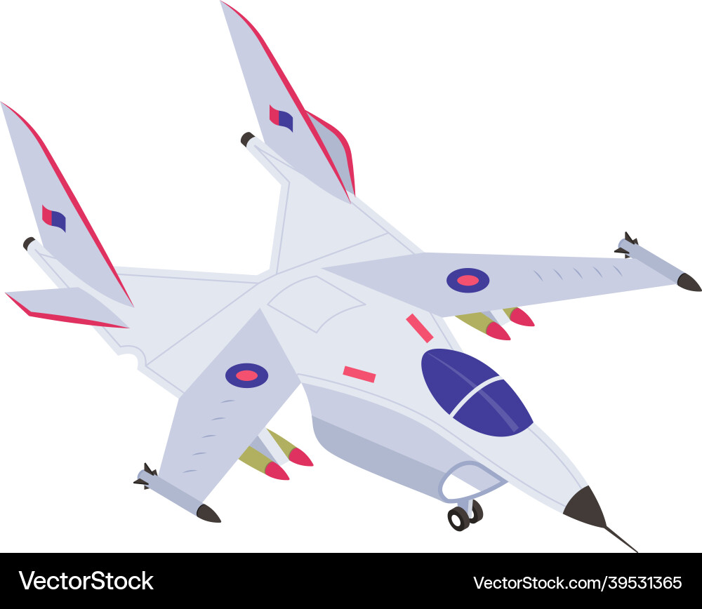 Combat jet Royalty Free Vector Image - VectorStock