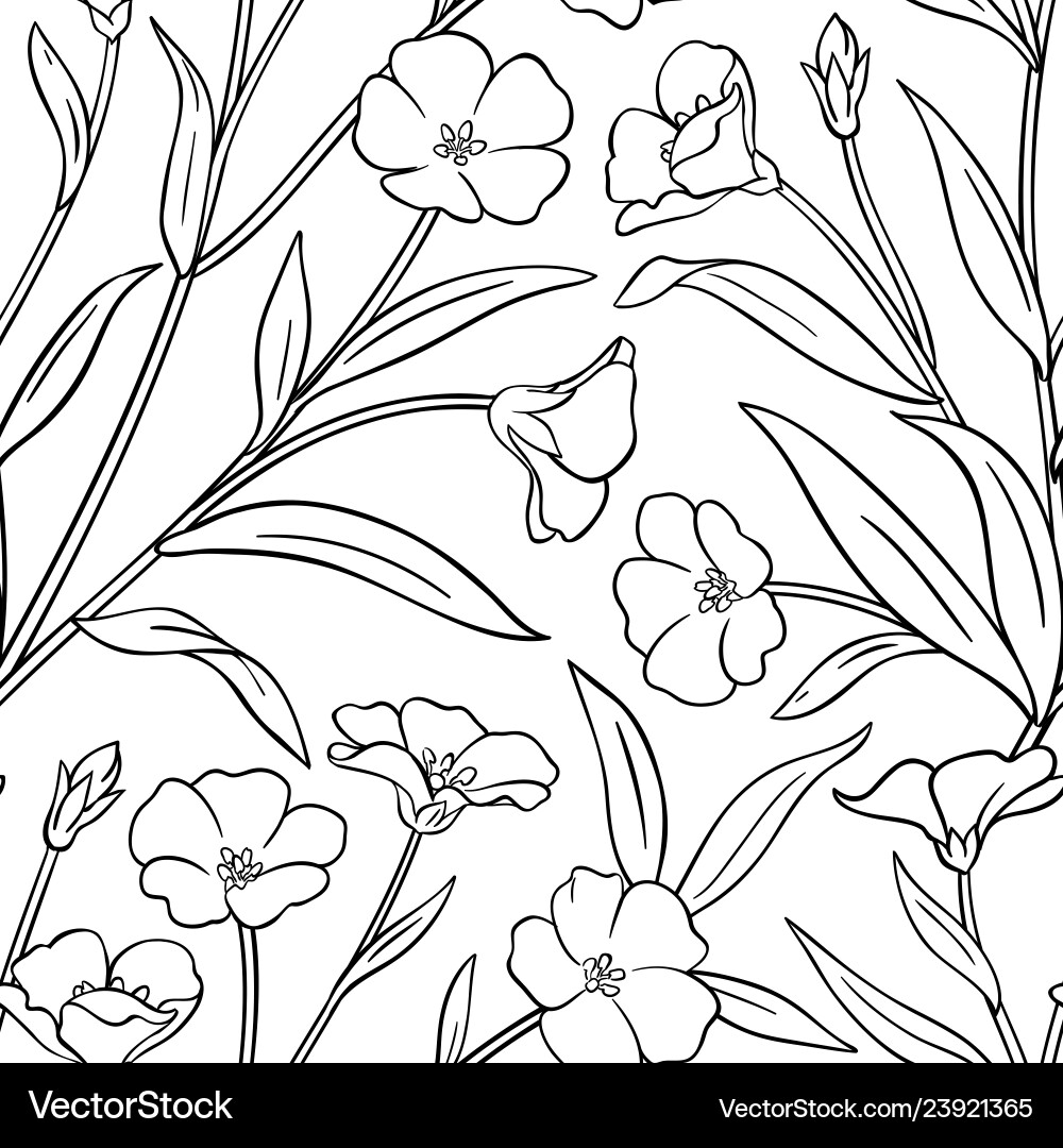 Flax plant pattern on white background Royalty Free Vector
