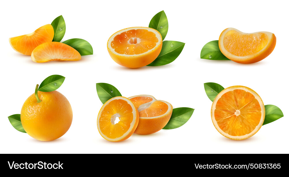 Orange with leaves set Royalty Free Vector Image