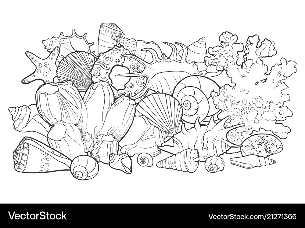 Background with seashells Background with seashells vector image