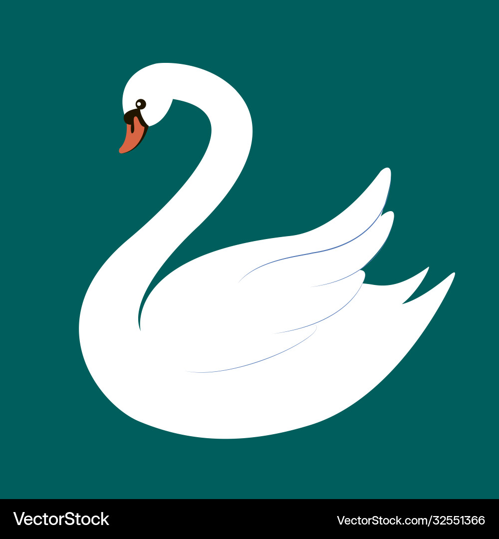 Elegant white swan isolated on dark green Elegant white swan isolated on dark green vector image