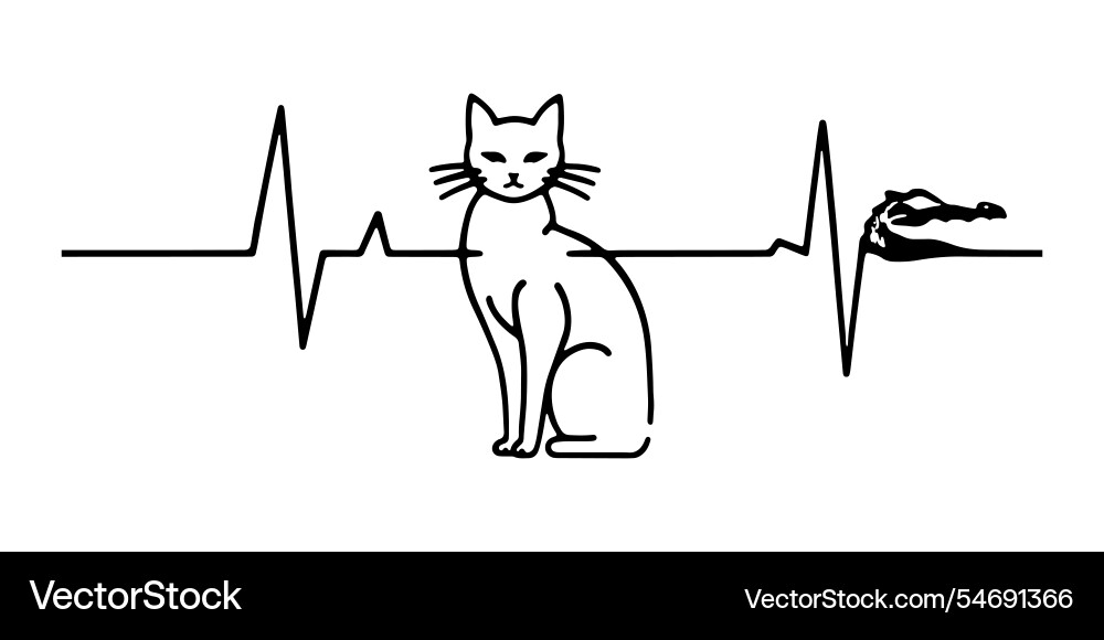 Heart rate graph with a playful cat Heart rate graph with a playful cat Vector Image