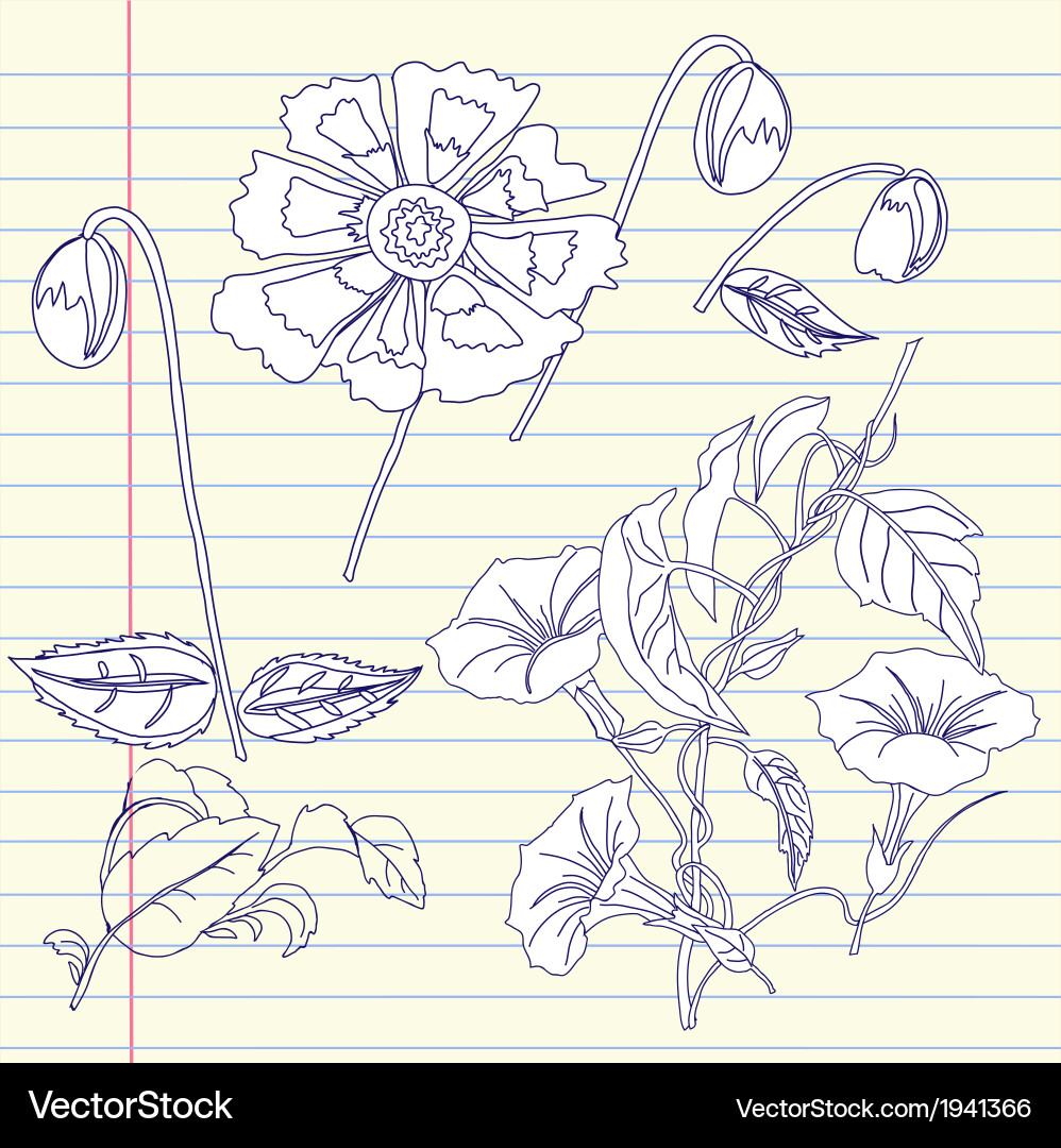 Notebook with bindweed and flowers vector image