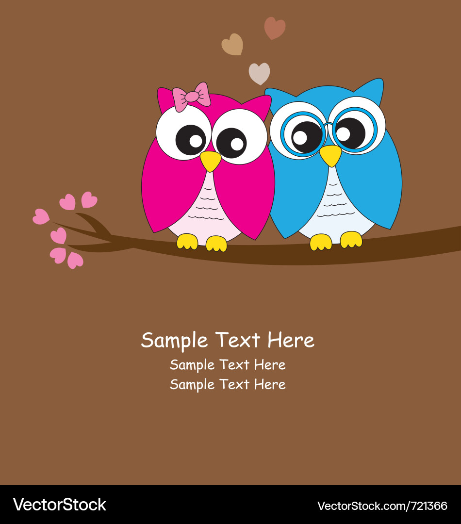 Romantic Owls Valentine's Day Vector Image