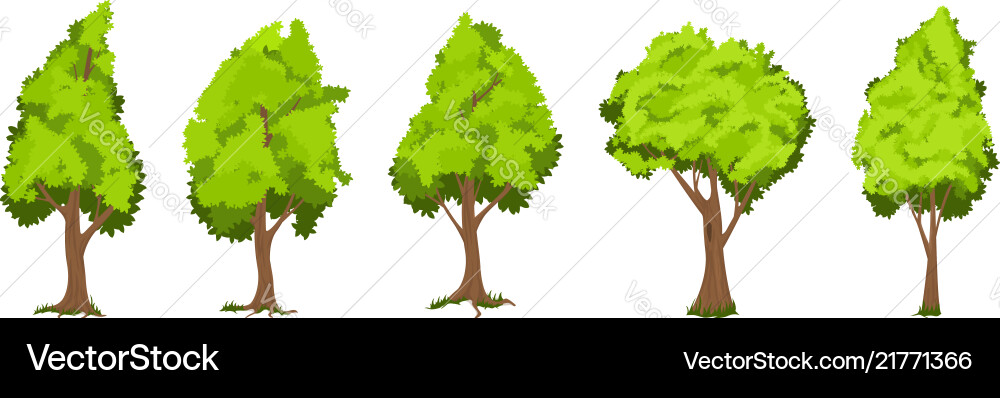 Trees set Vector Image
