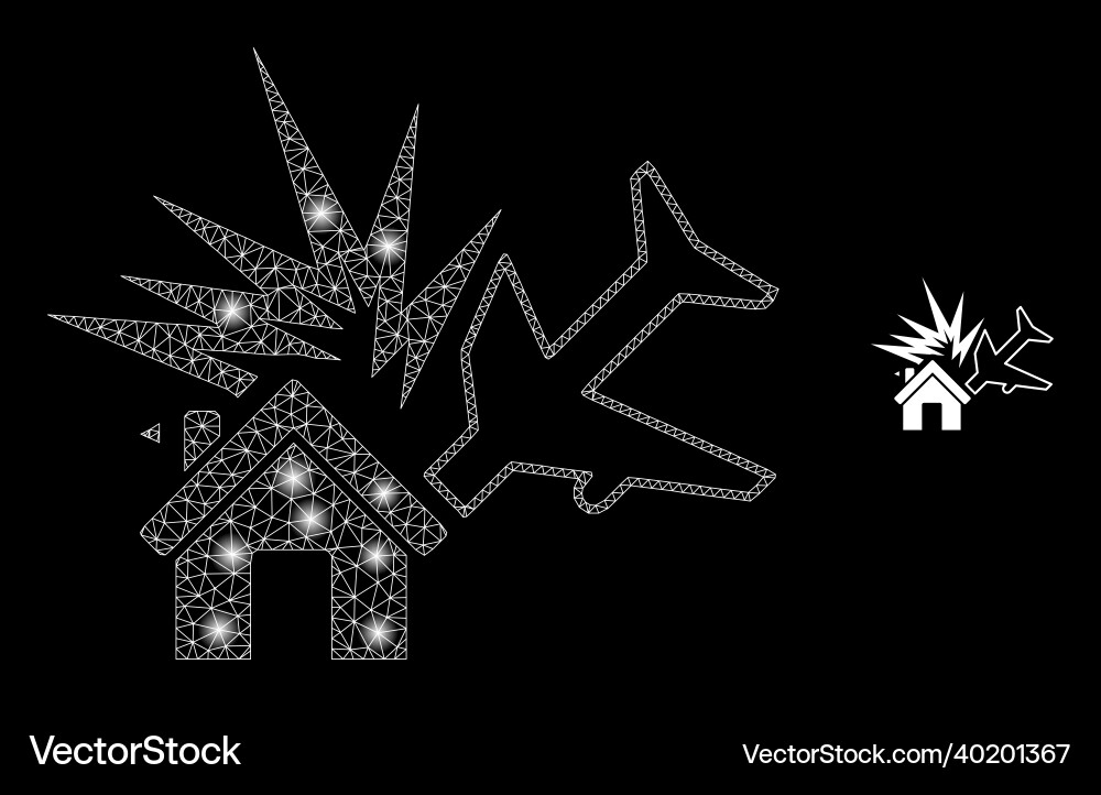 Mesh web airplane disaster with glowing Mesh web airplane disaster with glowing vector image