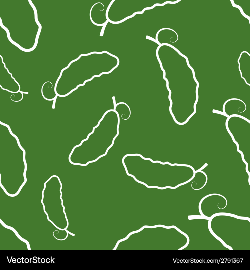Pattern circuit cucumber vector image