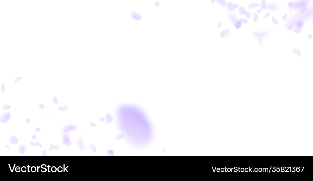 Violet flower petals falling down flawless romant Violet flower petals falling down flawless romant vector image