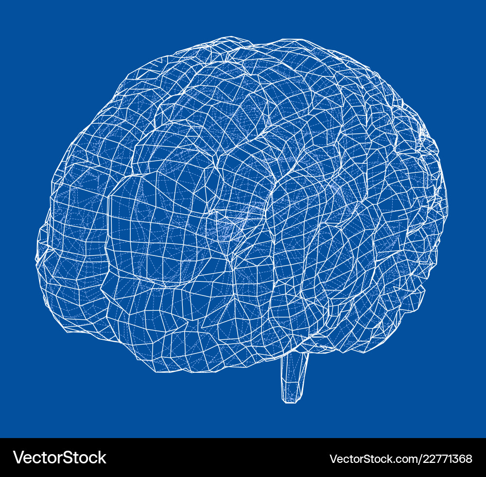 3d outline brain rendering of vector image