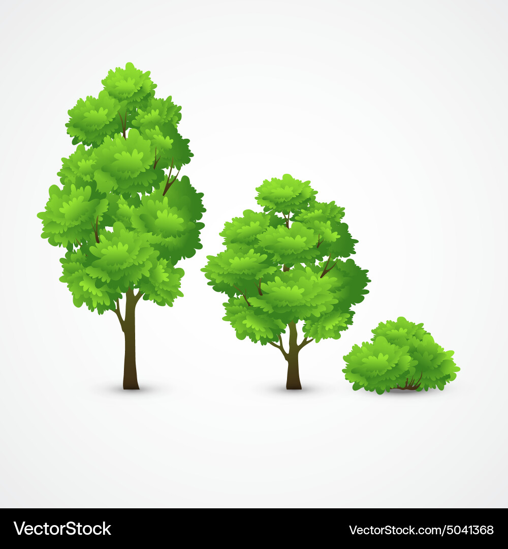 A set of different trees Royalty Free Vector Image
