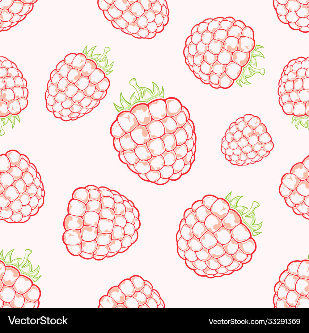 Raspberry background Raspberry background Vector Image