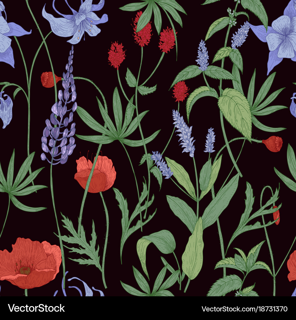 Elegant botanical seamless pattern with wild vector image