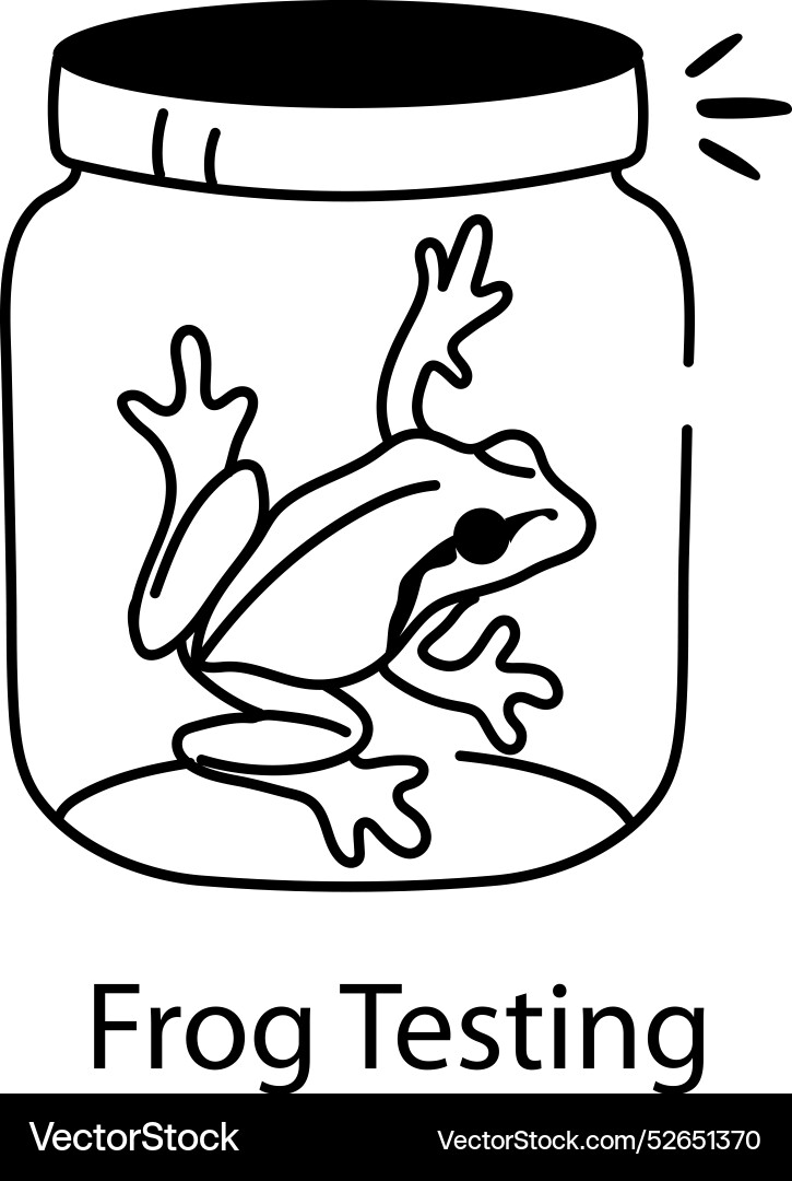 Frog testing vector image