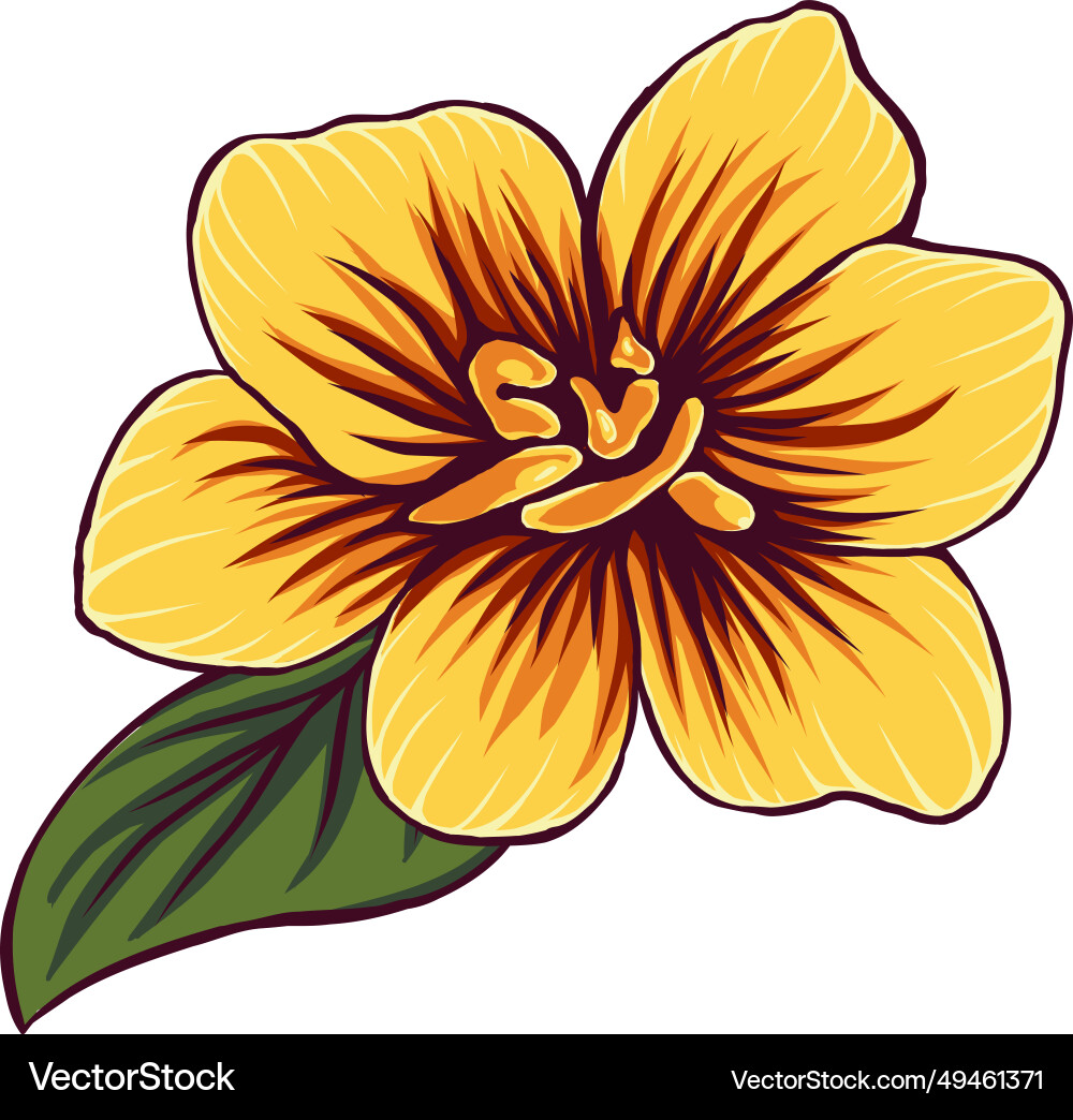 Elemente für das Design mit handgezeichneten Blumen Elemente für das Design mit handgezeichneten Blumen Vektorbild