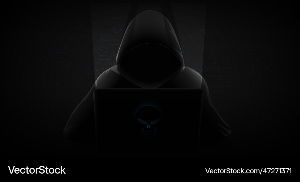 Hacker behind a laptop monitor in shadow vector image