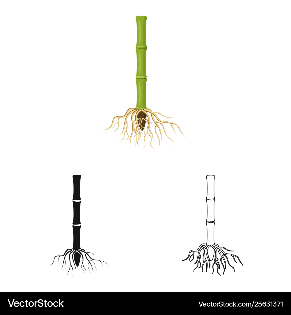 Isolated object root and system sign set vector image
