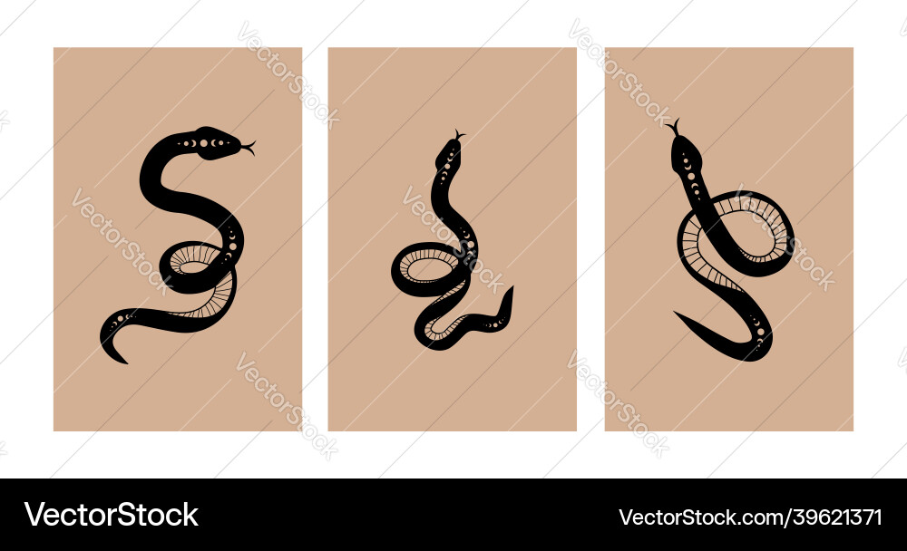 Magic snake in boho style with moon collection Vector Image