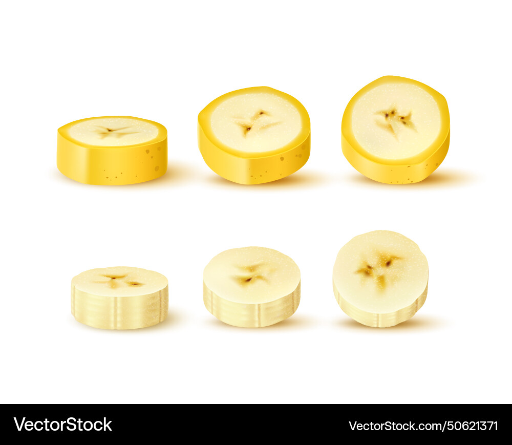 Realistic sliced banana ripe fruit circle slices Realistic sliced banana ripe fruit circle slices vector image