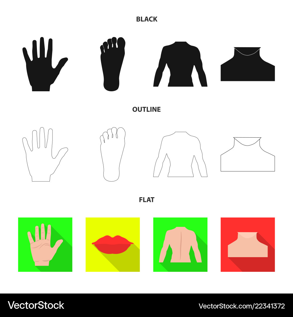 Design of human and part symbol collection vector image