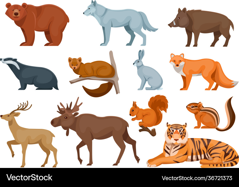 Woodland forest animals cute wild Woodland forest animals cute wild vector image