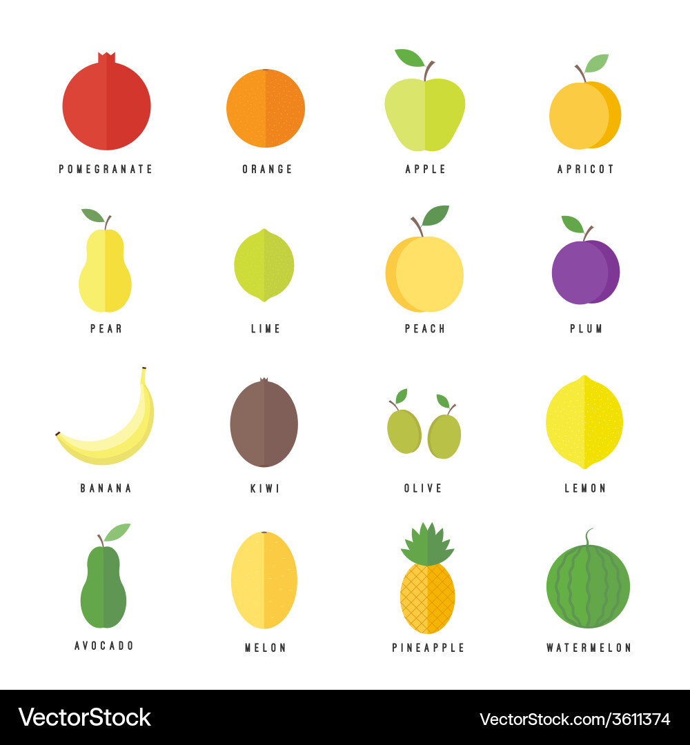 Flat elements for web design fruits and berries vector image