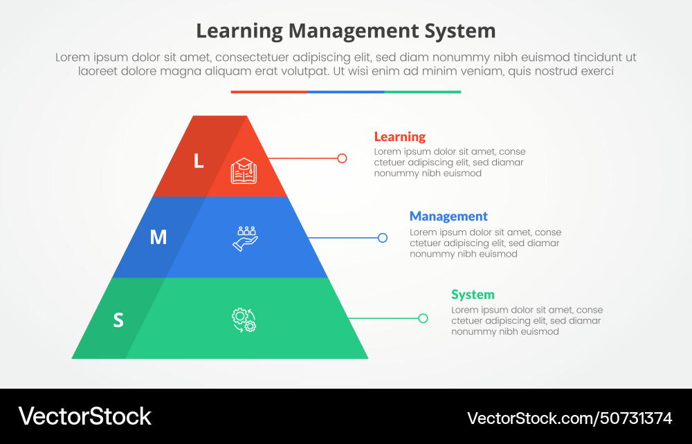 Lms learning management system infographic Lms learning management system infographic vector image