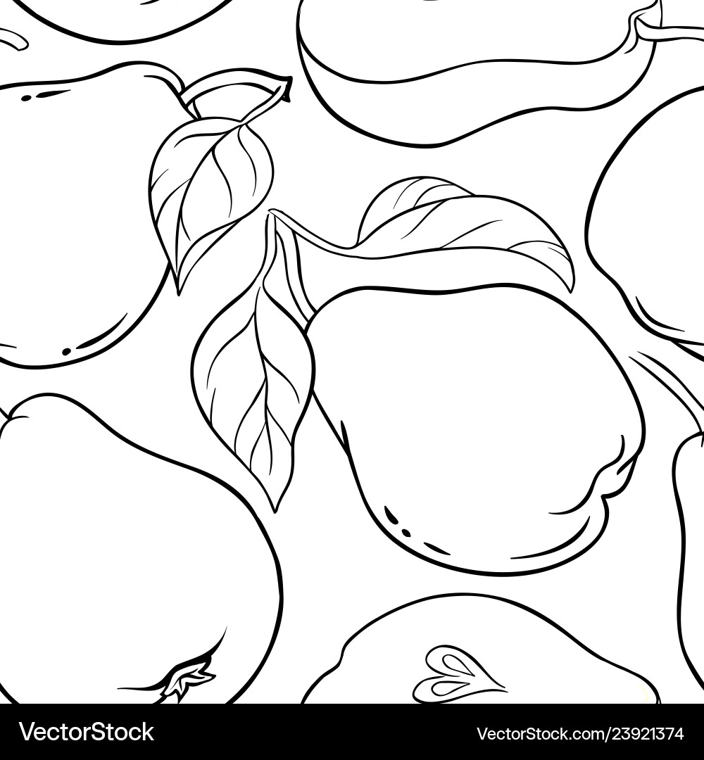 Pear fruit pattern on white background Pear fruit pattern on white background vector image