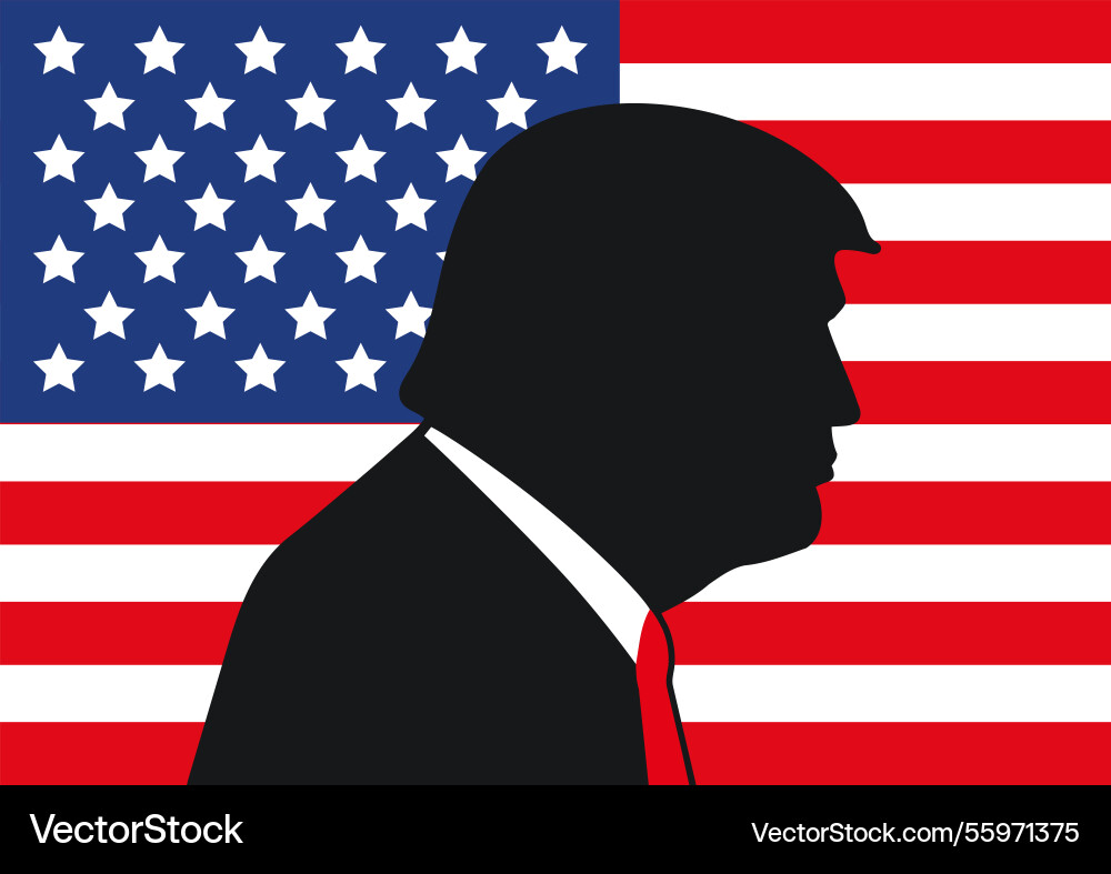 United states of america patriotic day United states of america patriotic day vector image