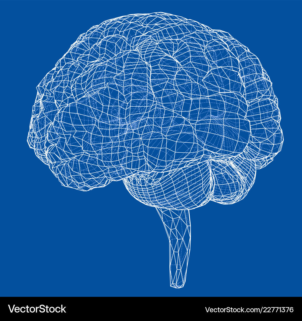 3D Brain Outline Rendering vector image