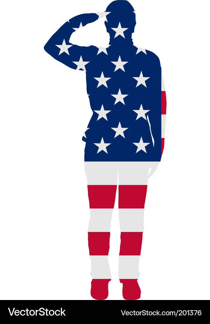 American Salute Gesture vector image